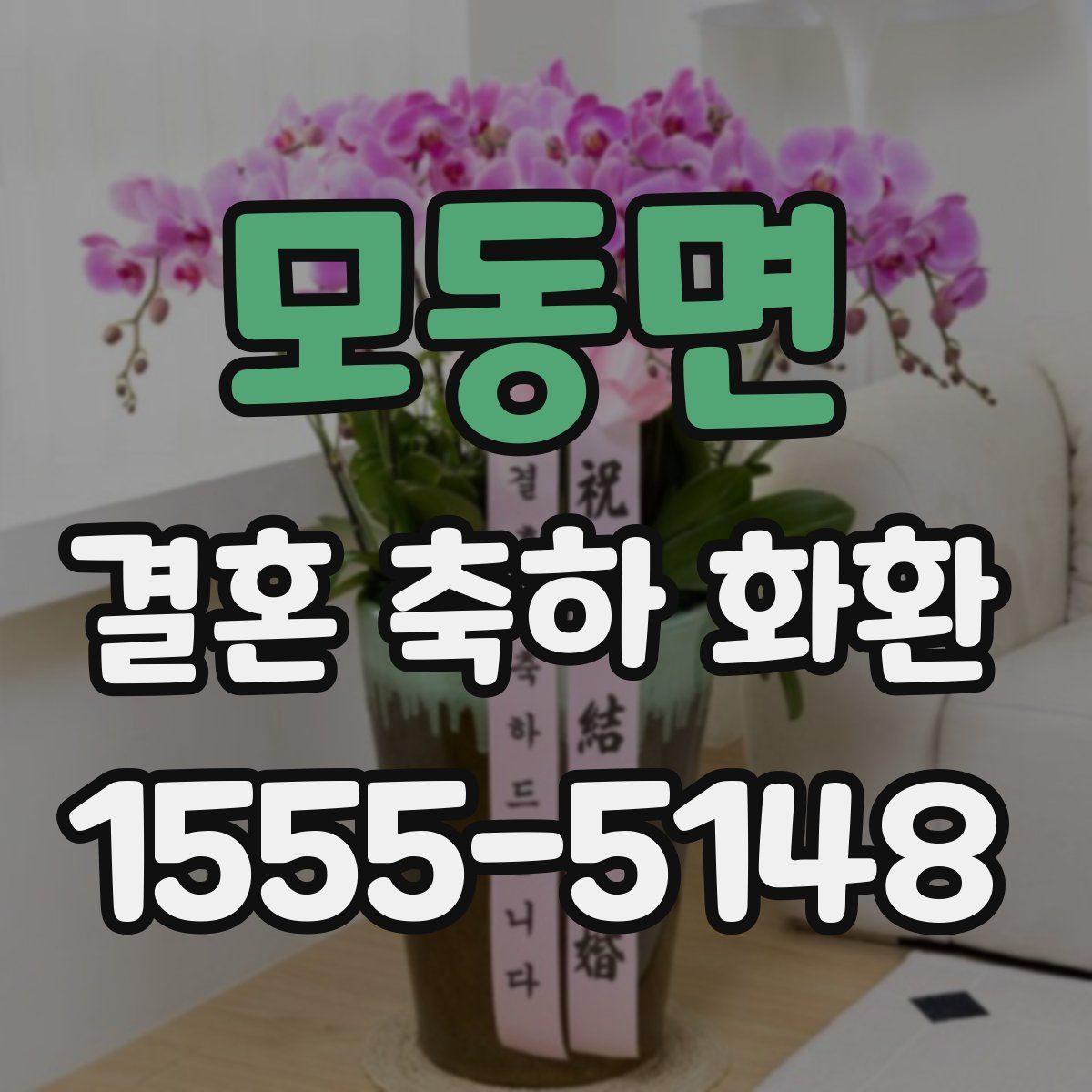 모동면 결혼 축하 화환