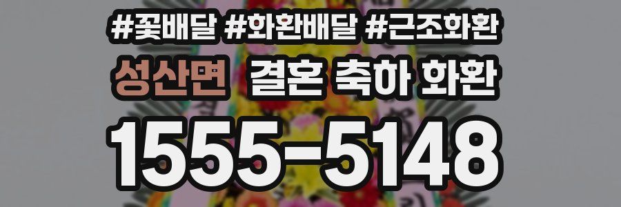 성산면 결혼 축하 화환