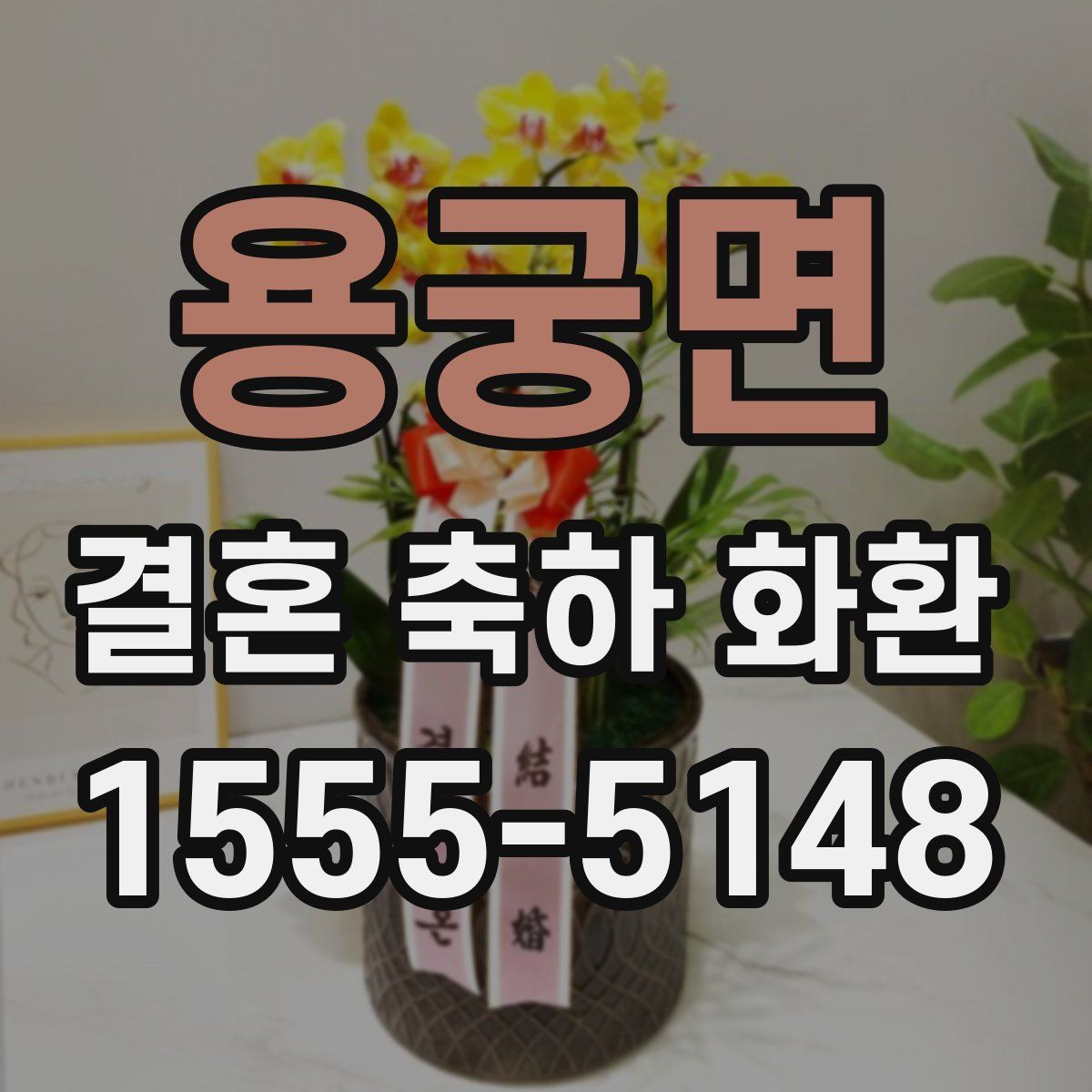 용궁면 결혼 축하 화환