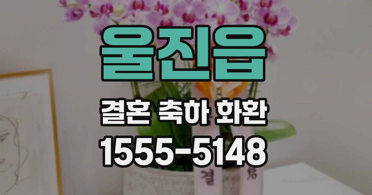 울진읍 결혼 축하 화환