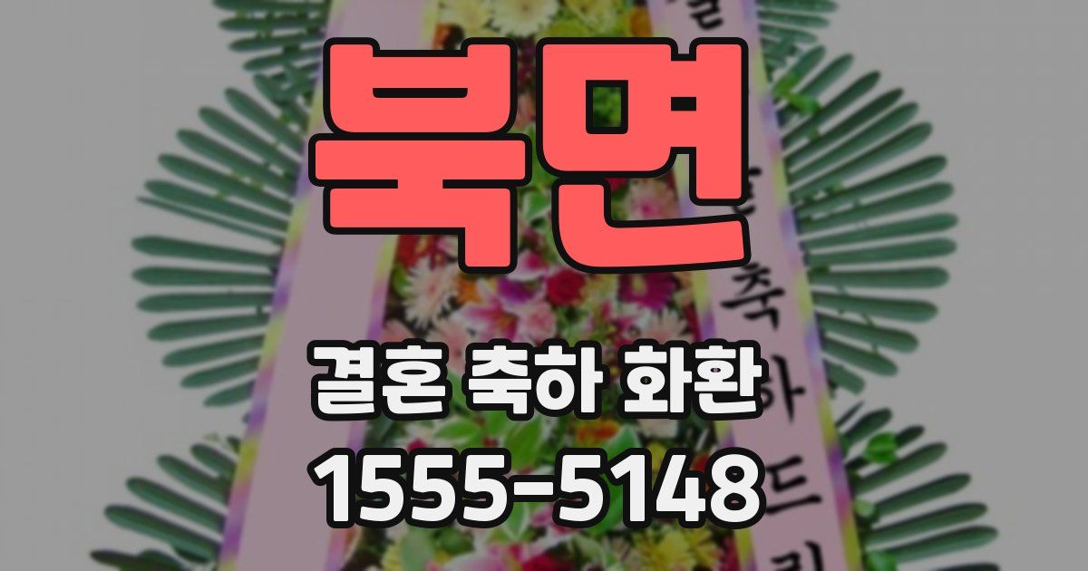 북면 결혼 축하 화환