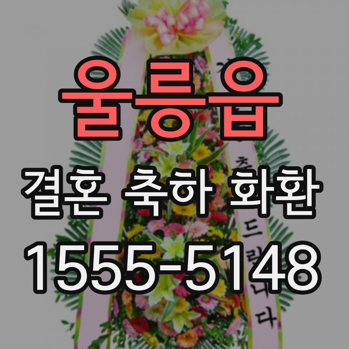 울릉읍 결혼 축하 화환