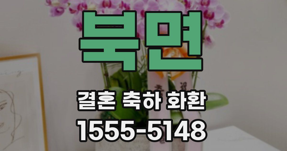 북면 결혼 축하 화환
