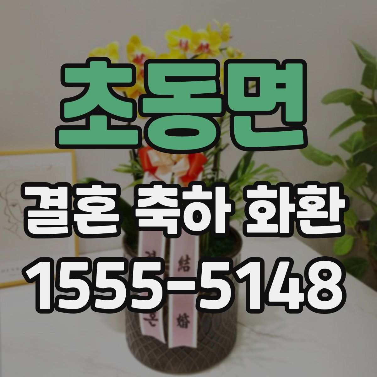 초동면 결혼 축하 화환