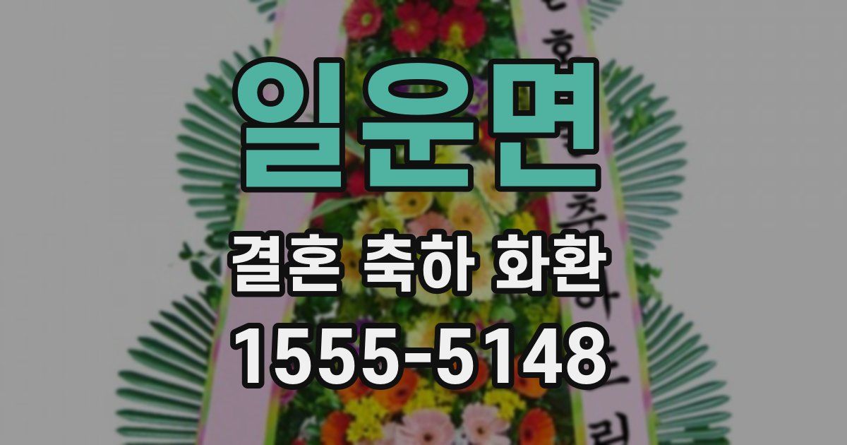 일운면 결혼 축하 화환