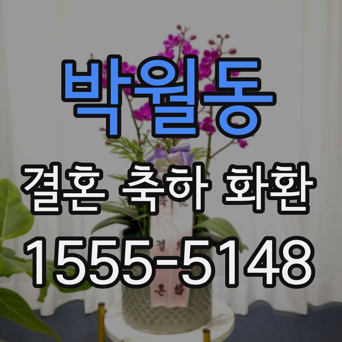박월동 결혼 축하 화환