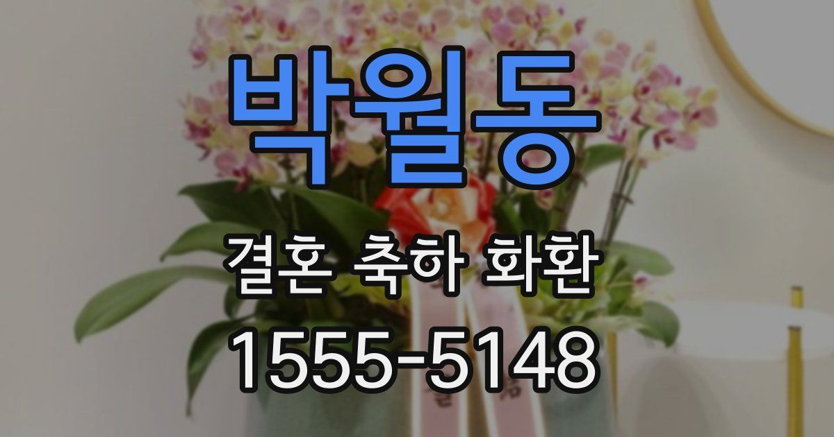 박월동 결혼 축하 화환