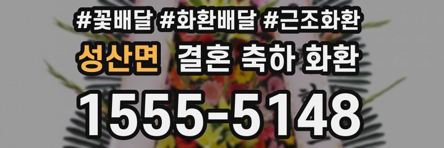 성산면 결혼 축하 화환