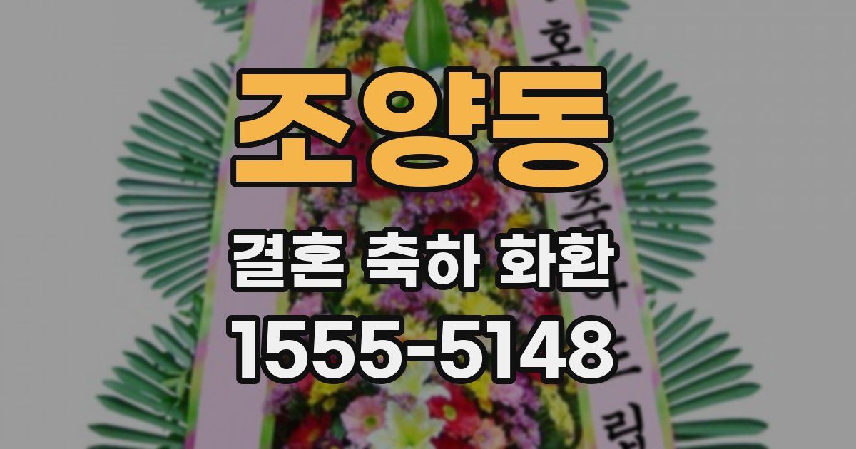 조양동 결혼 축하 화환
