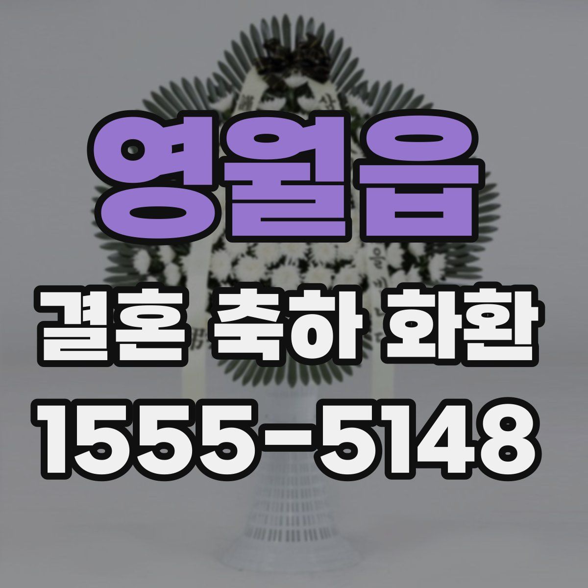 영월읍 결혼 축하 화환