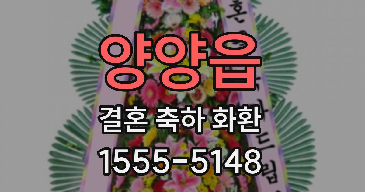 양양읍 결혼 축하 화환