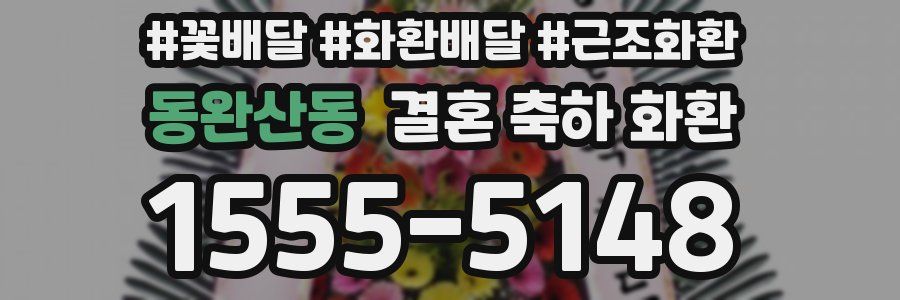 동완산동 결혼 축하 화환