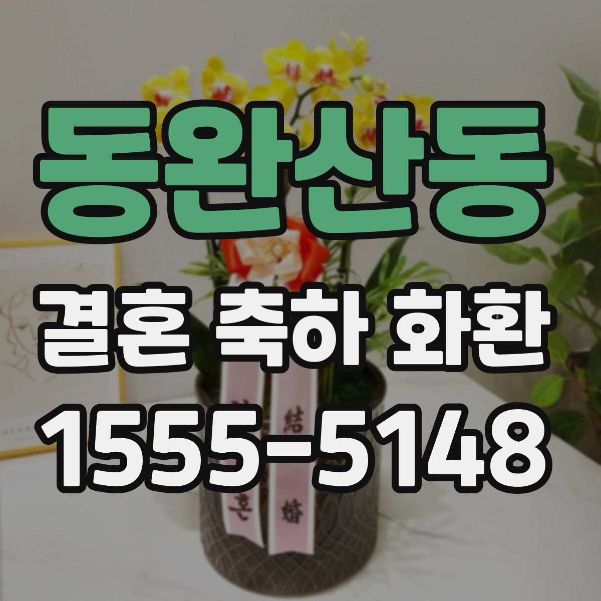 동완산동 결혼 축하 화환