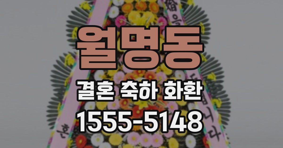 월명동 결혼 축하 화환