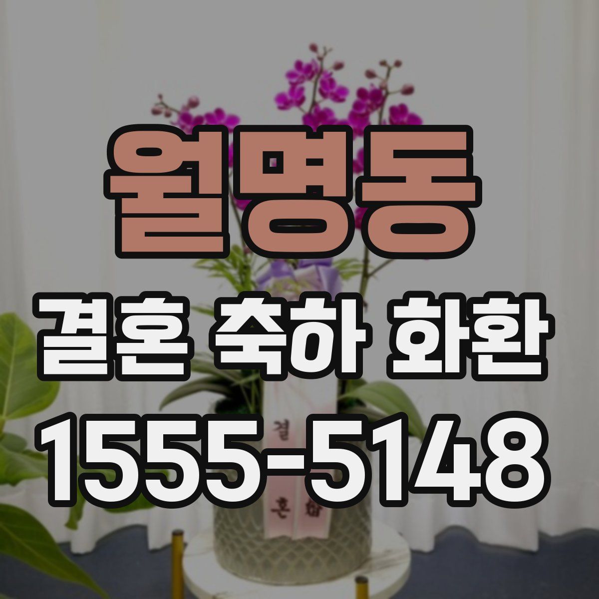 월명동 결혼 축하 화환