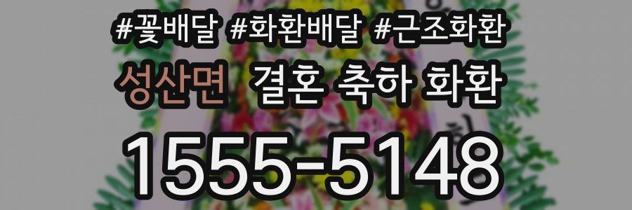 성산면 결혼 축하 화환