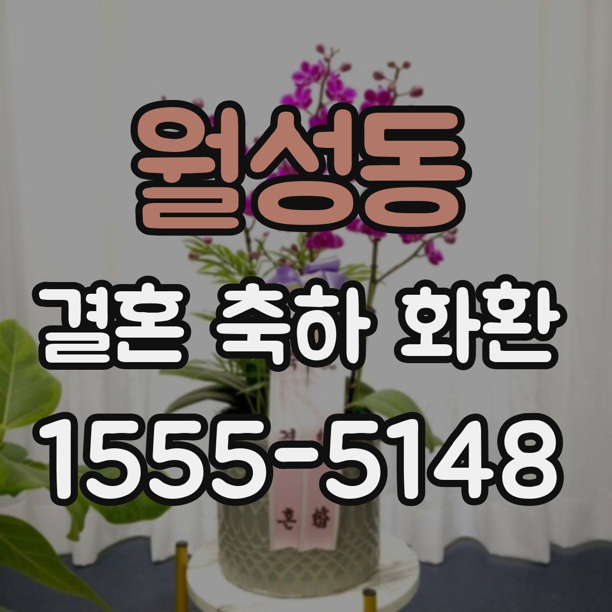 월성동 결혼 축하 화환