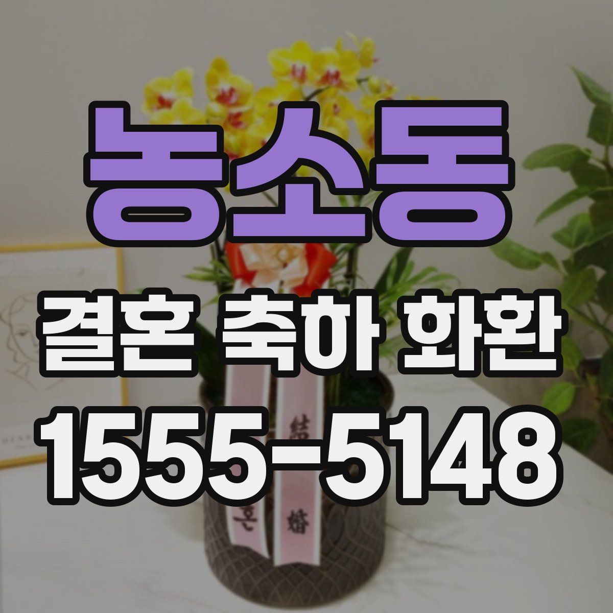 농소동 결혼 축하 화환