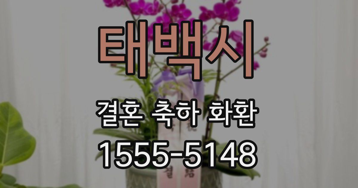 태백시 결혼 축하 화환