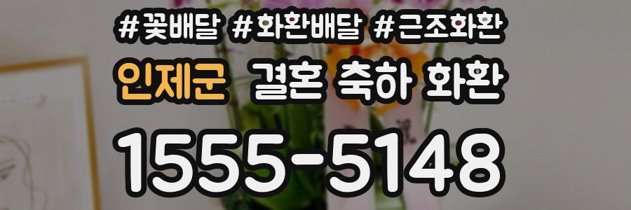 인제군 결혼 축하 화환