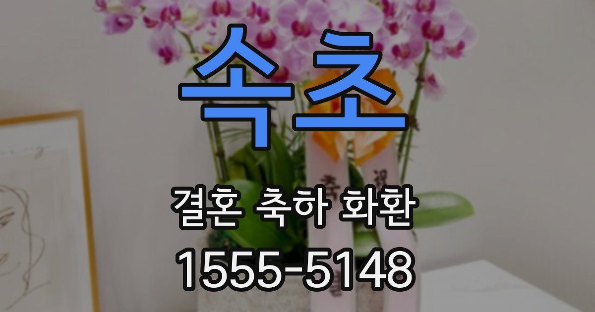 속초 결혼 축하 화환