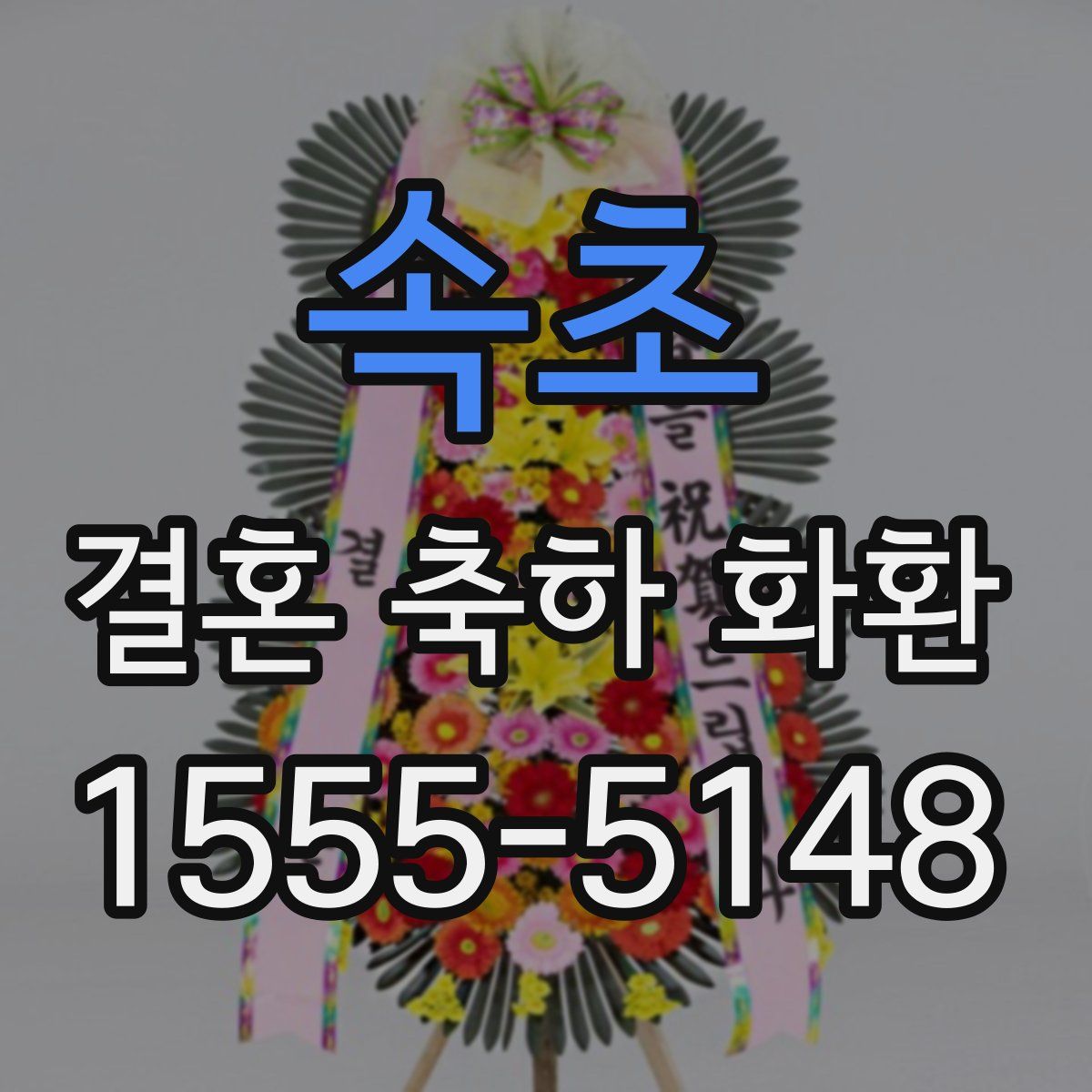 속초 결혼 축하 화환