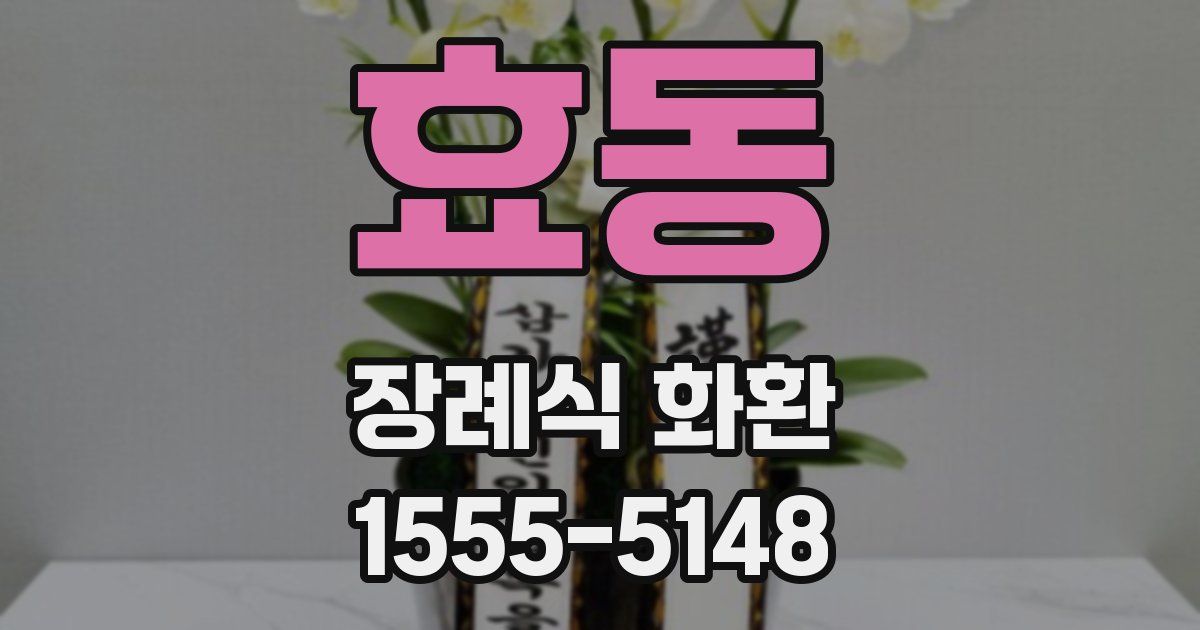 효동 장례식 화환