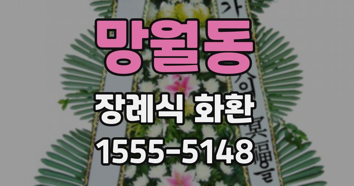 망월동 장례식 화환
