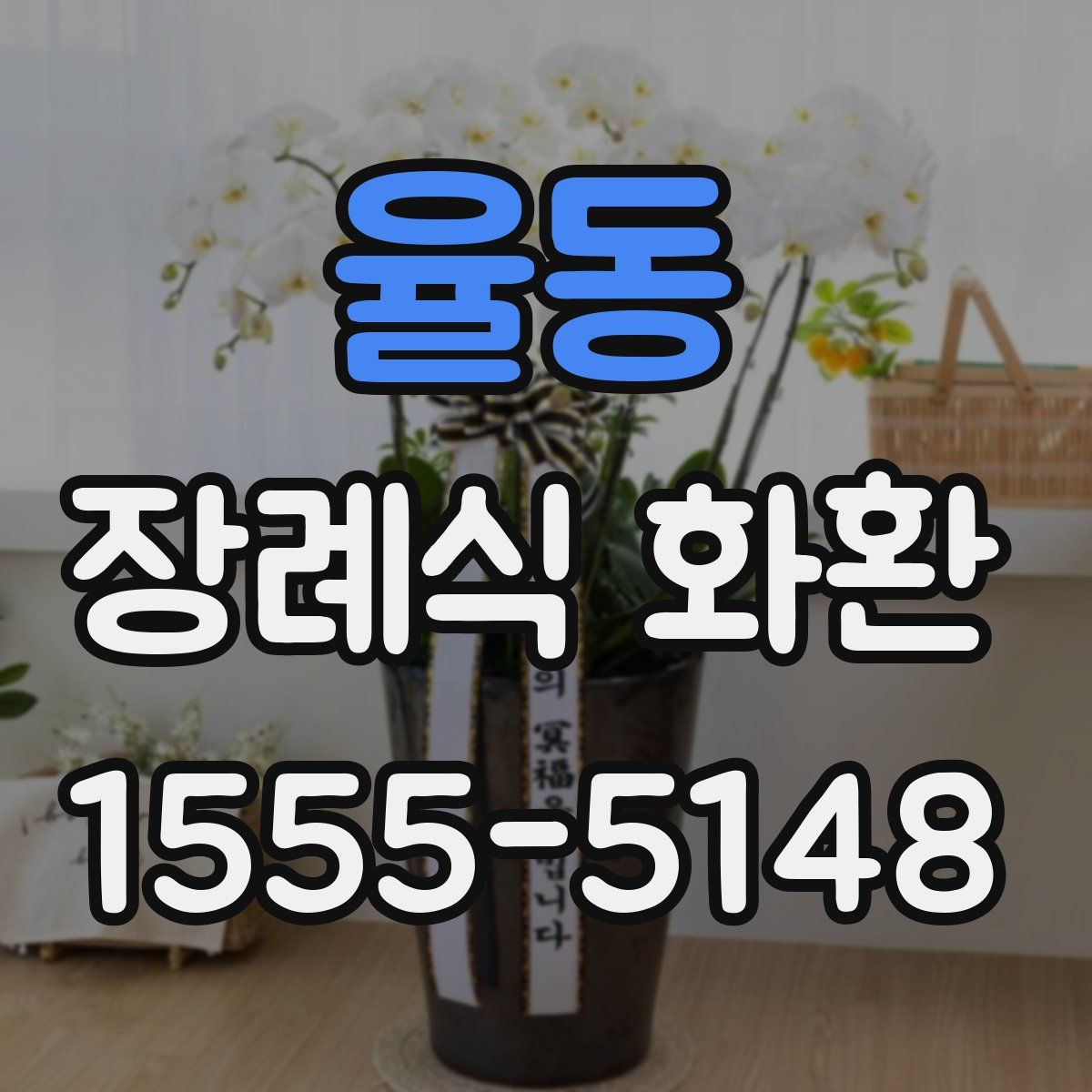 율동 장례식 화환