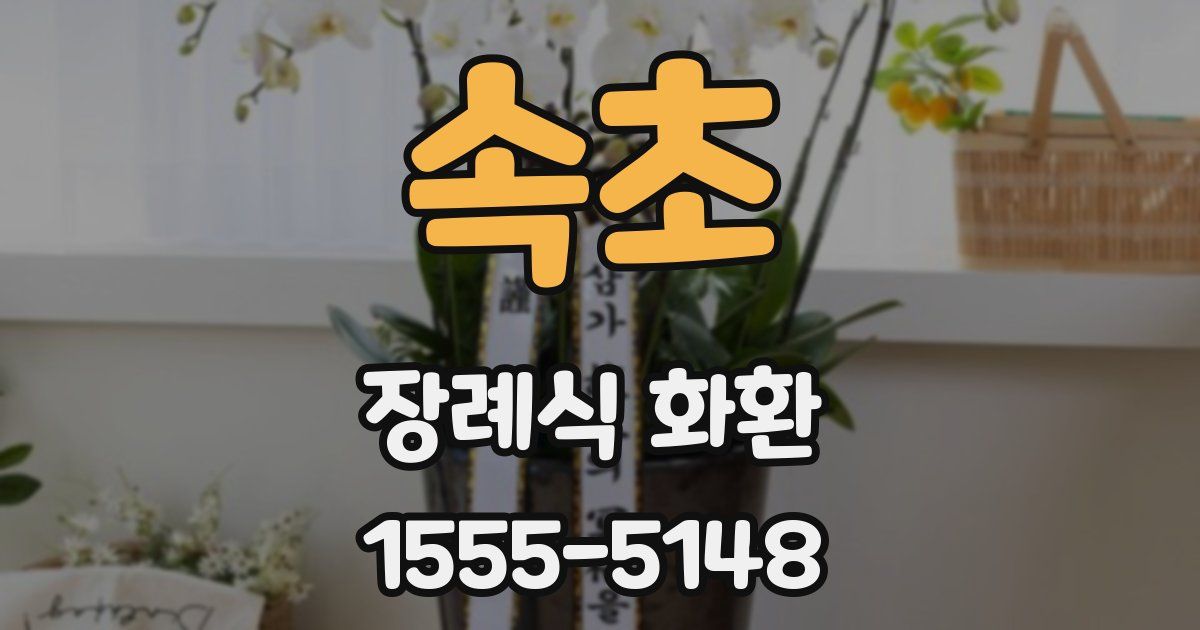 속초 장례식 화환