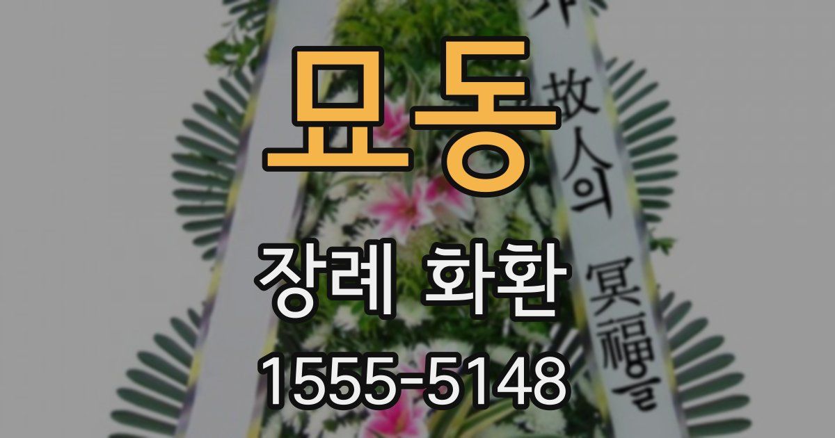 묘동 장례 화환