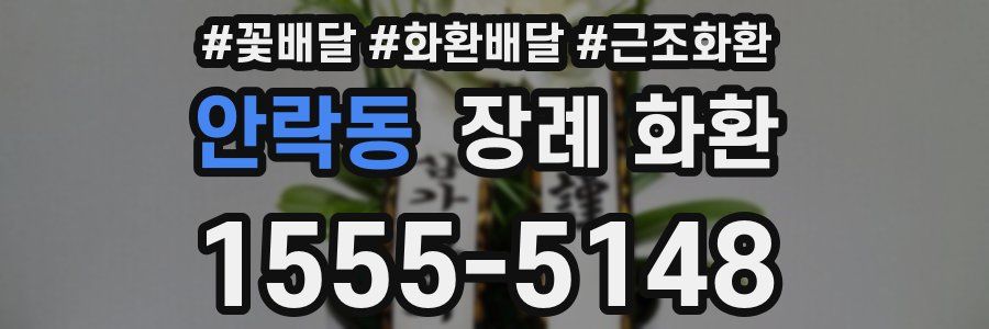 안락동 장례 화환