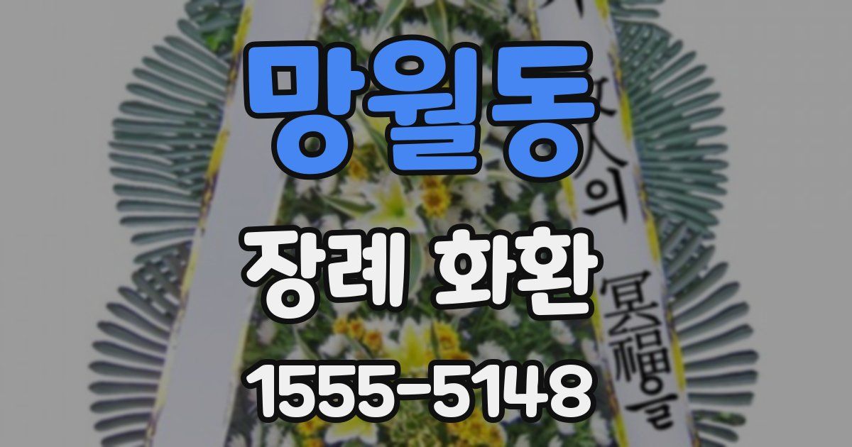 망월동 장례 화환