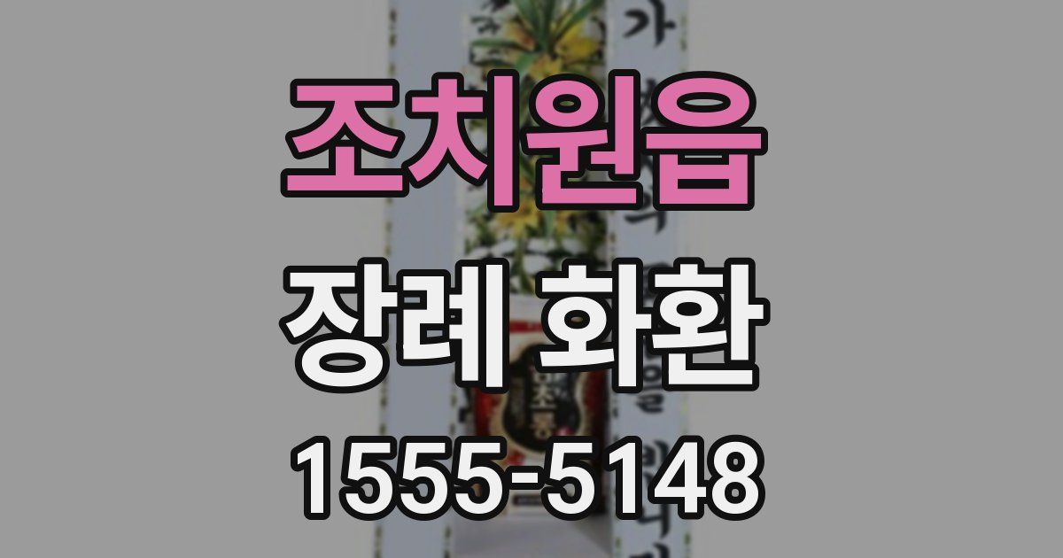 조치원읍 장례 화환