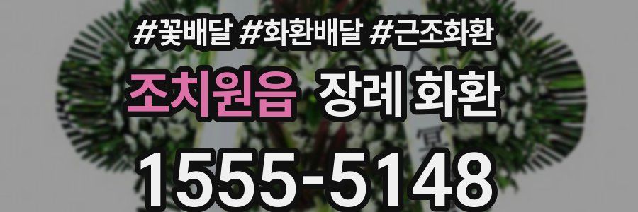 조치원읍 장례 화환