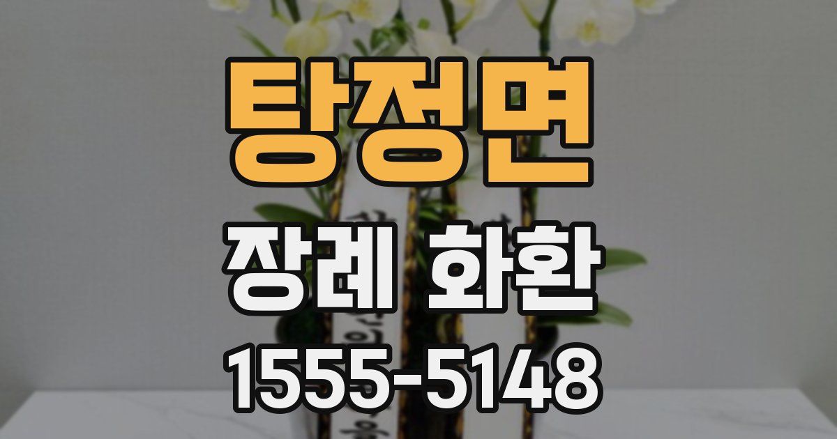 탕정면 장례 화환