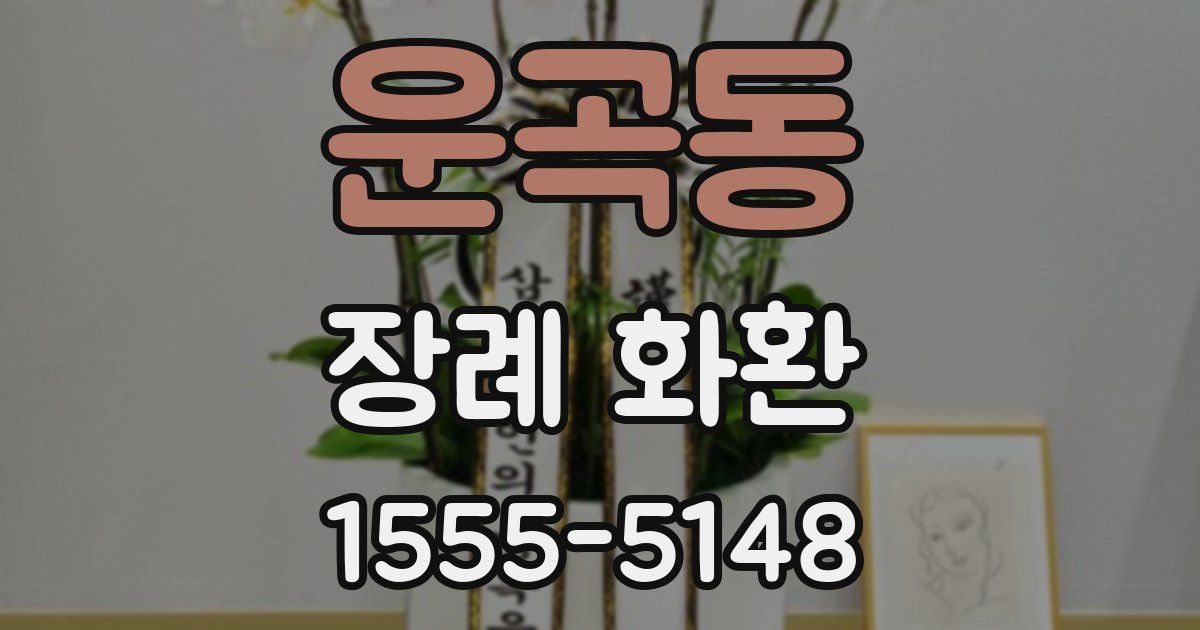 운곡동 장례 화환