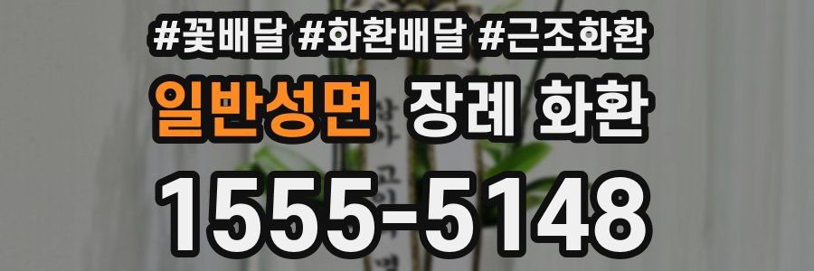 일반성면 장례 화환