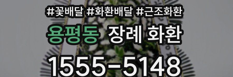 용평동 장례 화환