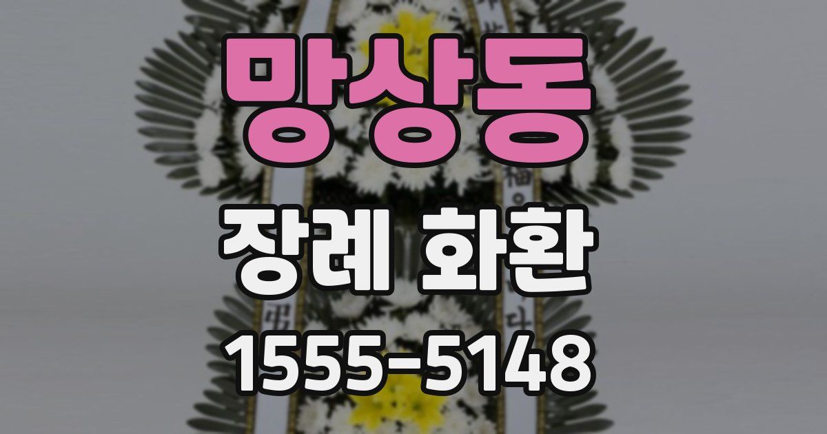 망상동 장례 화환