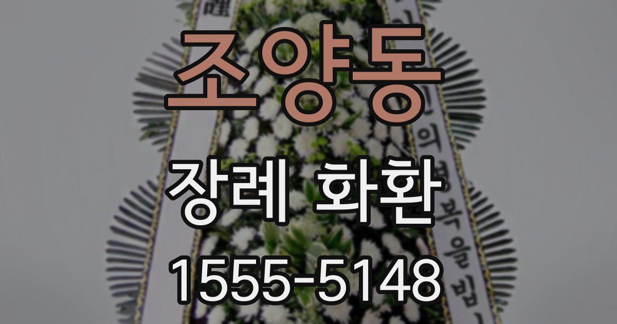 조양동 장례 화환
