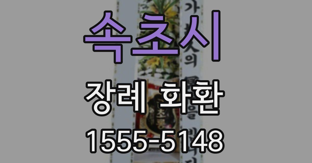 속초시 장례 화환