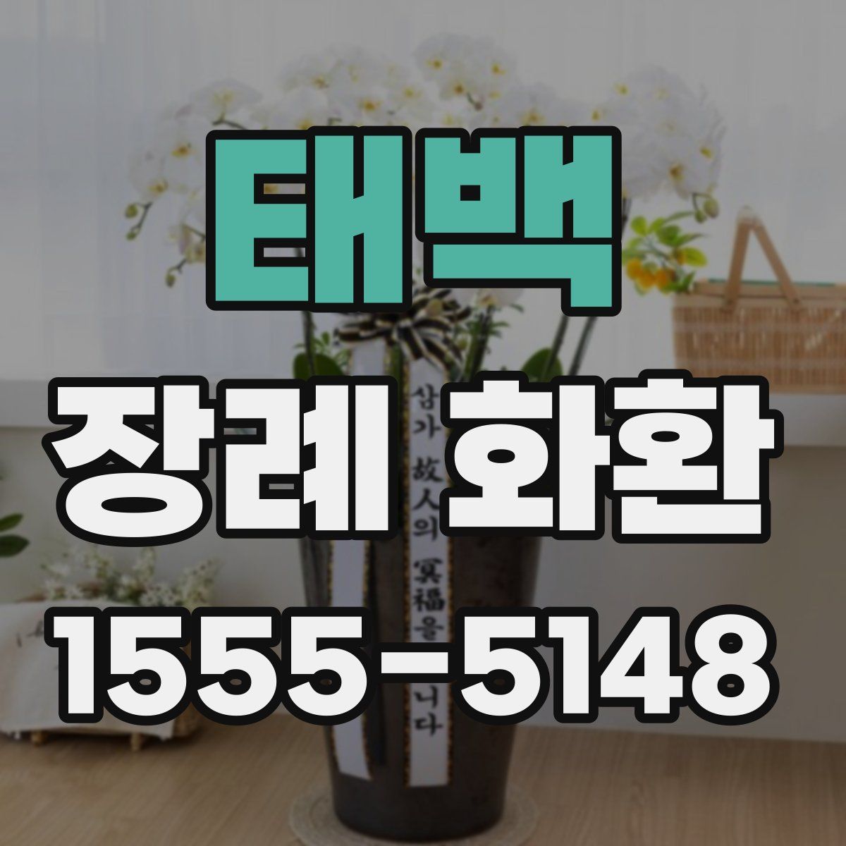 태백 장례 화환