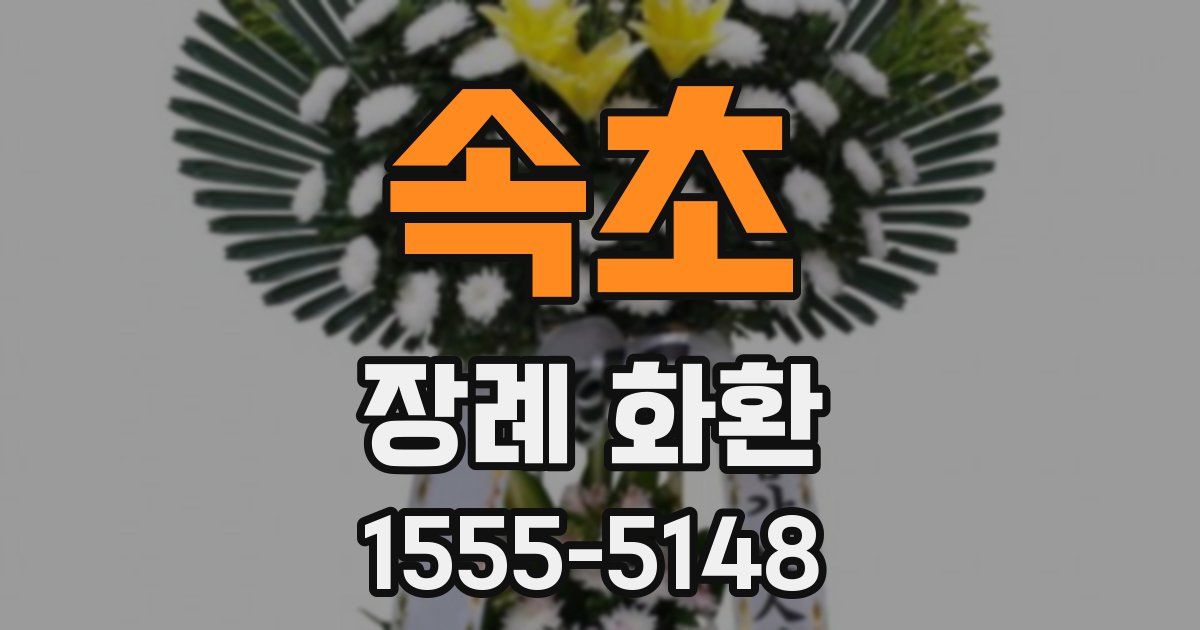 속초 장례 화환