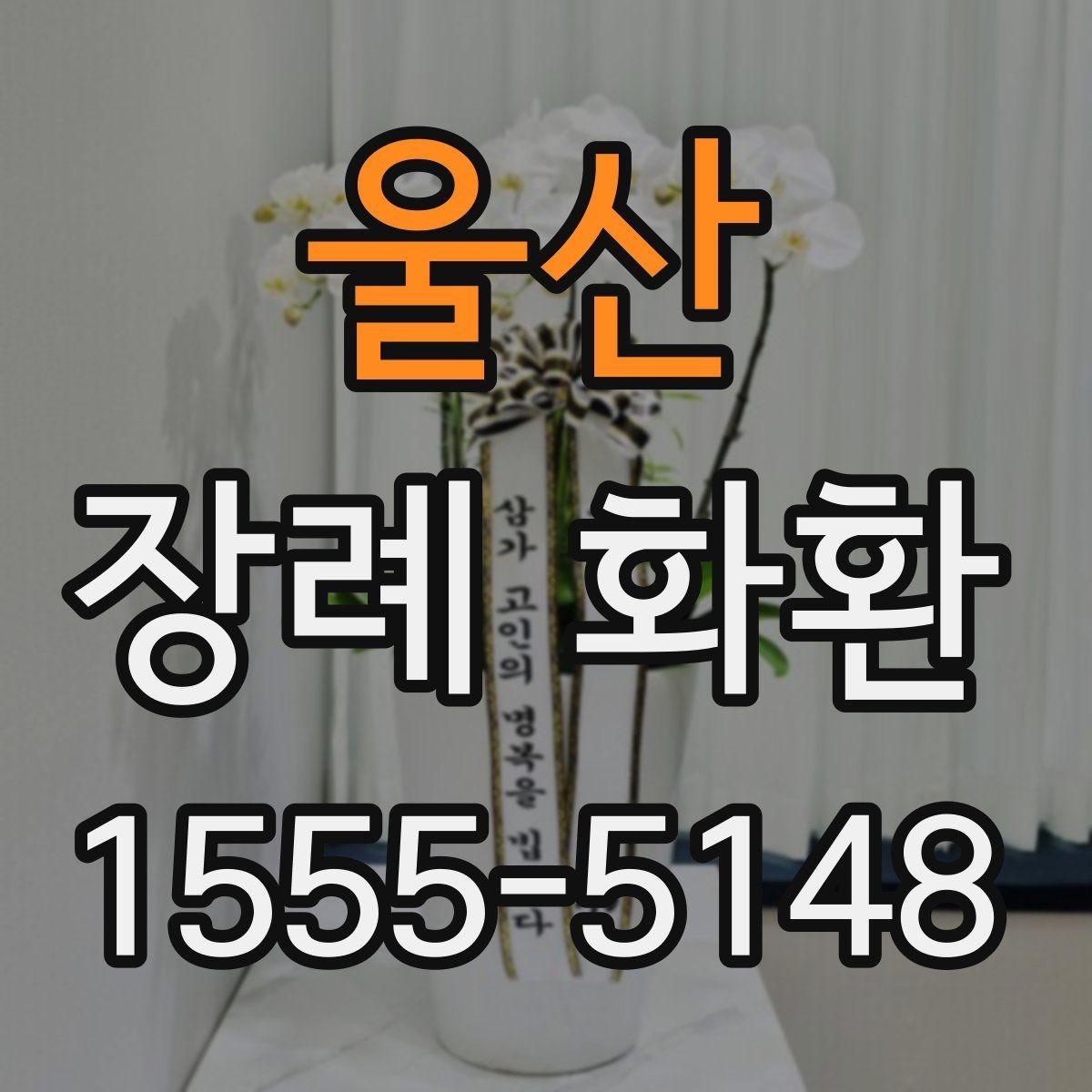 울산 장례 화환 배송 요청 전 확인사항