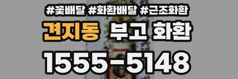 견지동 부고 화환
