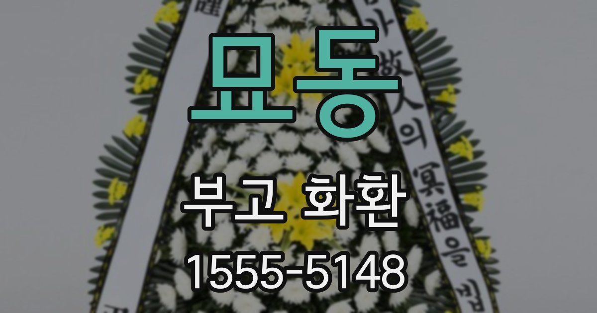묘동 부고 화환