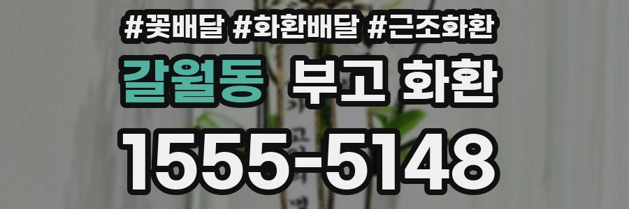 갈월동 부고 화환