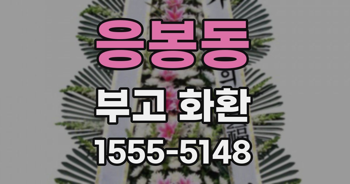 응봉동 부고 화환
