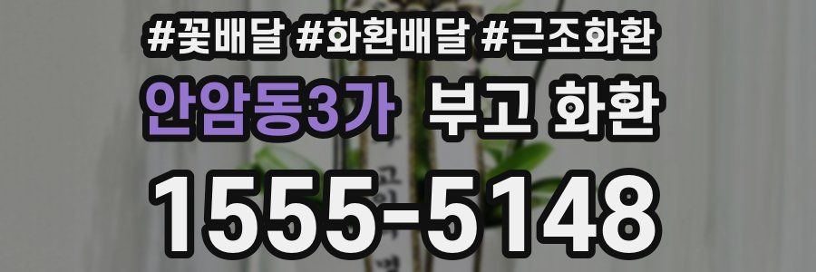 안암동3가 부고 화환